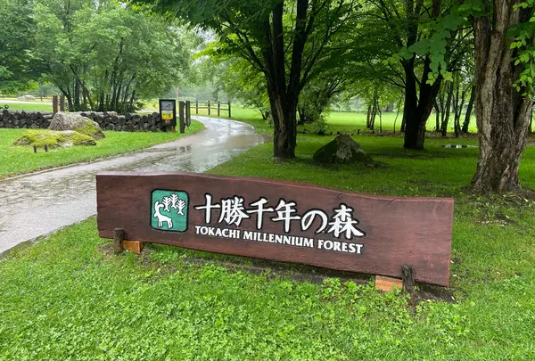 十勝千年の森の写真・動画_image_1630011