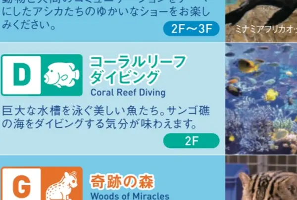 コーラルリーフダイビング