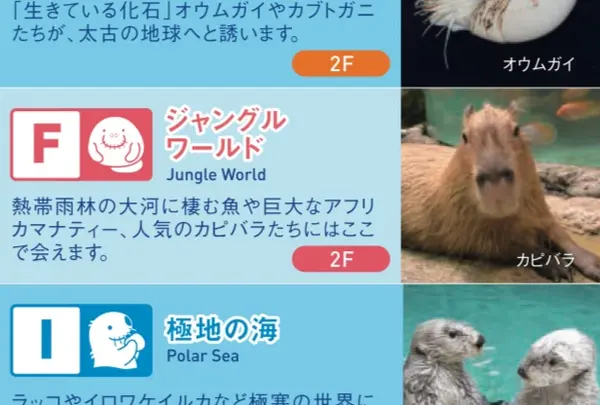 ジャングルワールド