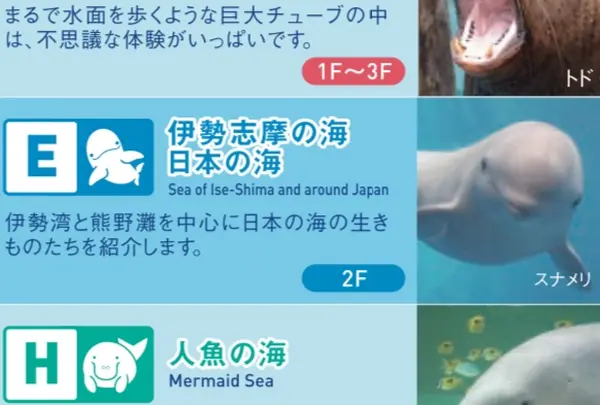 伊勢志摩の海 日本の海