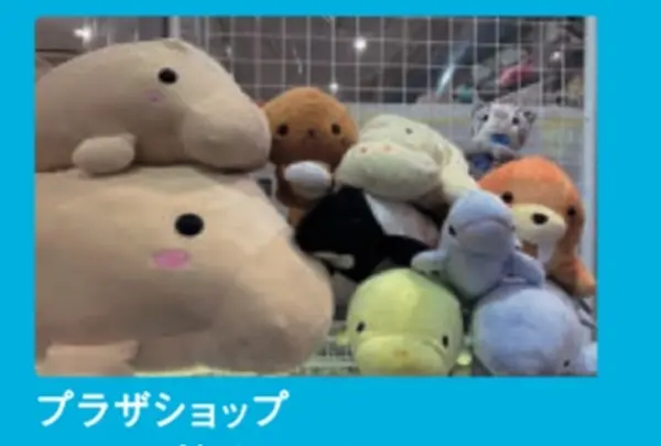 直営店プラザショップ