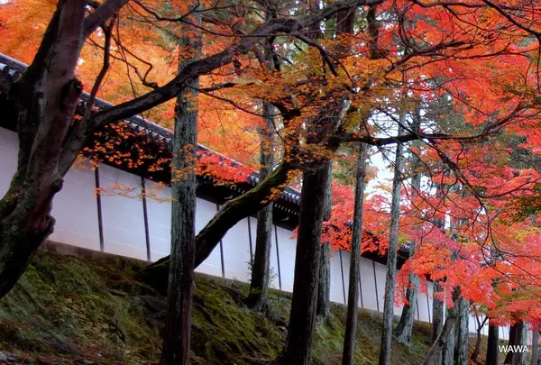 明暗寺など東福寺参道