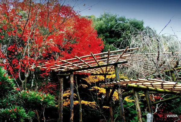 新善光寺