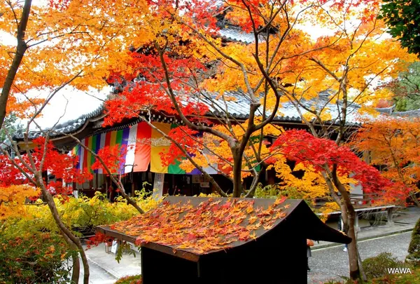 今熊野観音寺