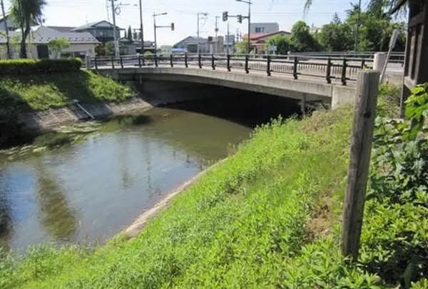 涙橋の写真・動画_image_163510