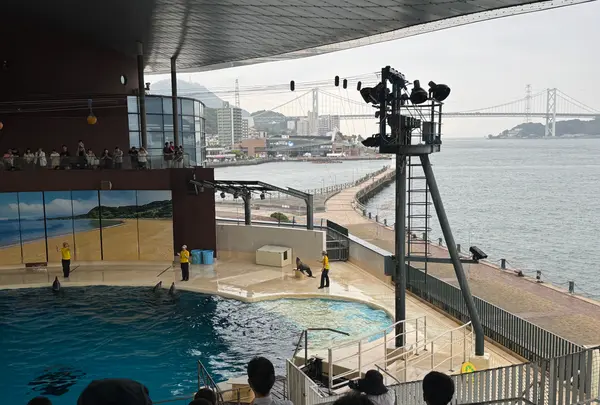下関市立しものせき水族館・海響館の写真・動画_image_1641003