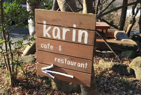 karin
