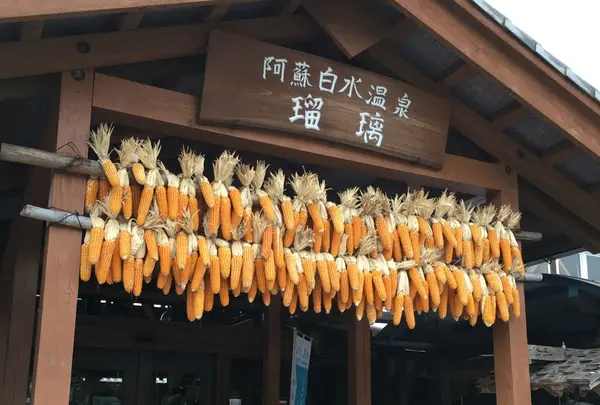 阿蘇白水温泉「瑠璃」の写真・動画_image_164790