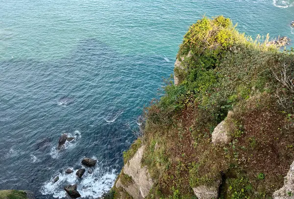 亀岩の写真・動画_image_1649576