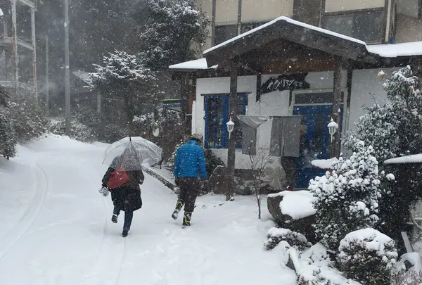 ビストロインえばーぐりーん
