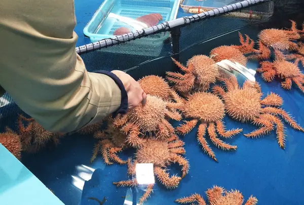 竹島水族館