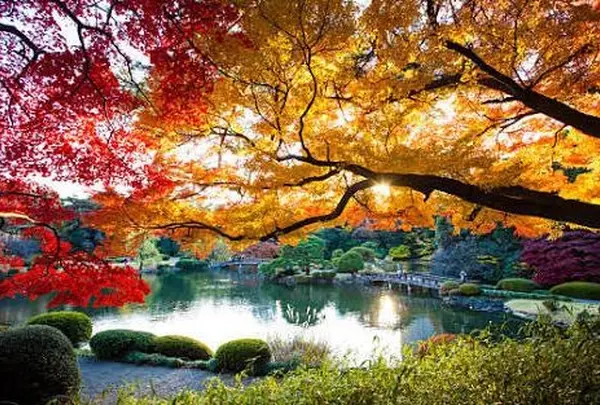 有栖川宮記念公園
