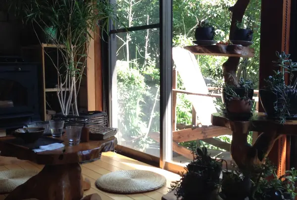 千草の写真・動画_image_165190