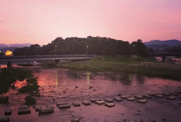 鴨川デルタの写真・動画_image_165215