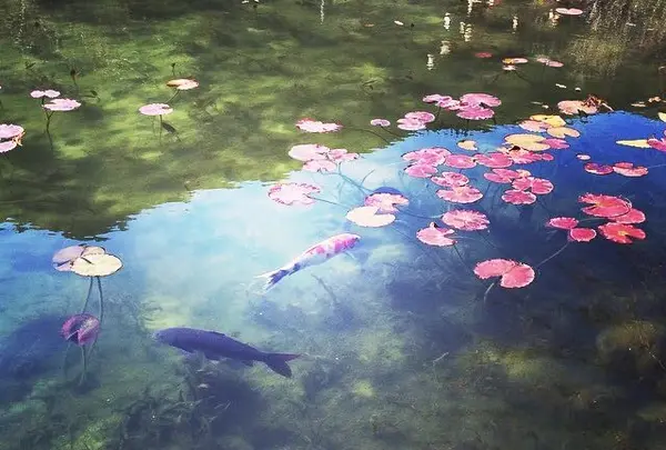 根道神社の写真・動画_image_165632