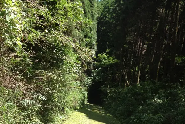 旧国鉄宮原線遊歩道の写真・動画_image_165843