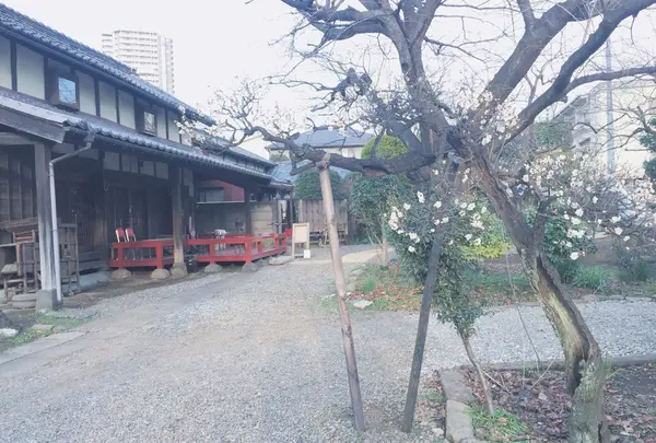 楽風の写真・動画_image_165875