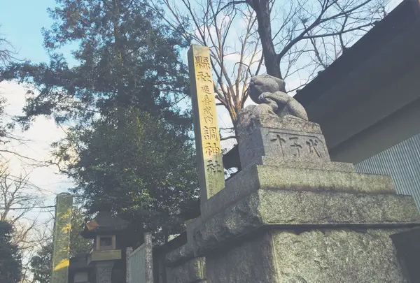 調神社の写真・動画_image_165876