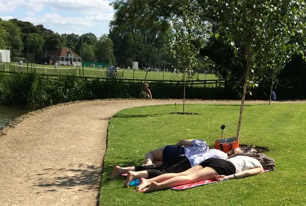 University of Oxford Botanic Gardenの写真・動画_image_166257
