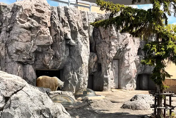 旭川市 旭山動物園の写真・動画_image_1662925