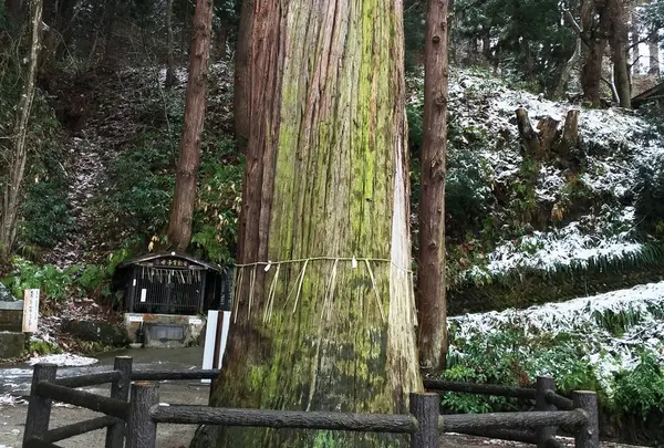 白虎隊記念館の写真・動画_image_166489