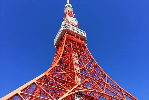 東京タワーの写真・動画_image_166690