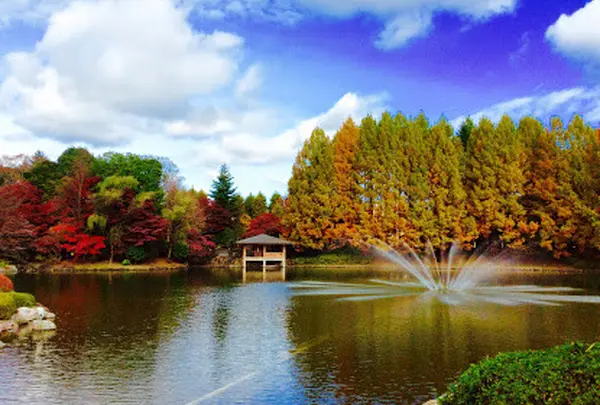 【オプション1】宇都宮市民の憩いの広場「中央公園」