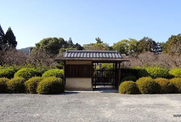 随心院