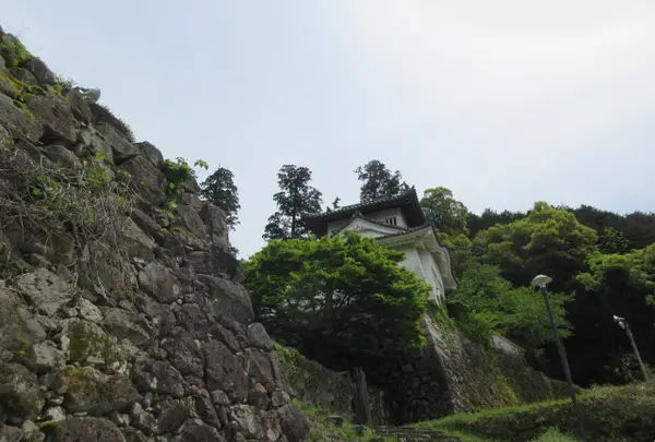 出石城跡の写真・動画_image_1672334