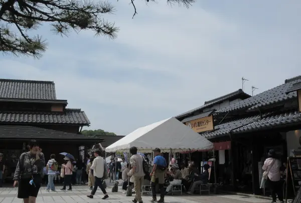 出石城下町の写真・動画_image_1672337