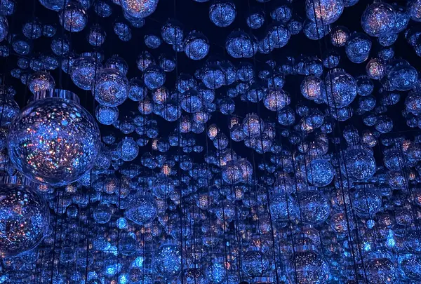 森ビルデジタルアートミュージアム：エプソン チームラボボーダレス（teamLab Borderless: MORI Building DIGITAL ART MUSEUM）