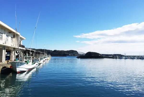 大島の写真・動画_image_167374