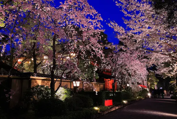 芝とうふ屋 うかい