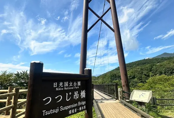 つつじ吊橋の写真・動画_image_1676024