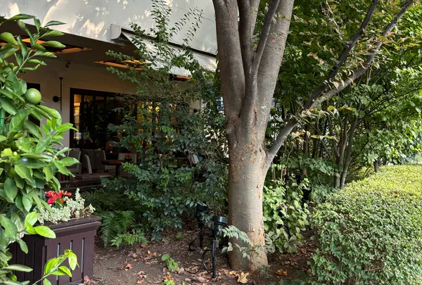 ウエスト青山ガーデン（WEST AOYAMA GARDEN）の写真・動画_image_1676686