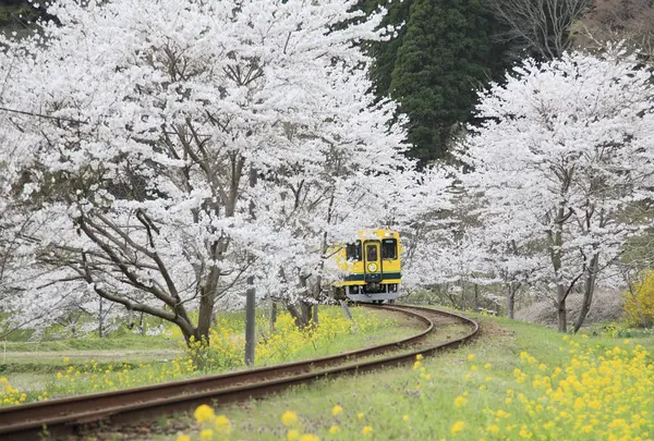 いすみ鉄道