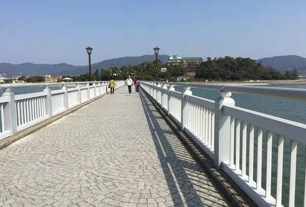 竹島の写真・動画_image_168477