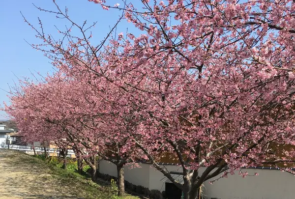 畑毛せせらぎ公園