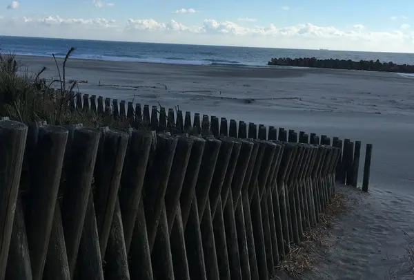 米津の浜