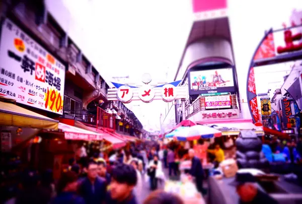 上野アメ横商店街（アメ横）