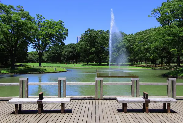 代々木公園