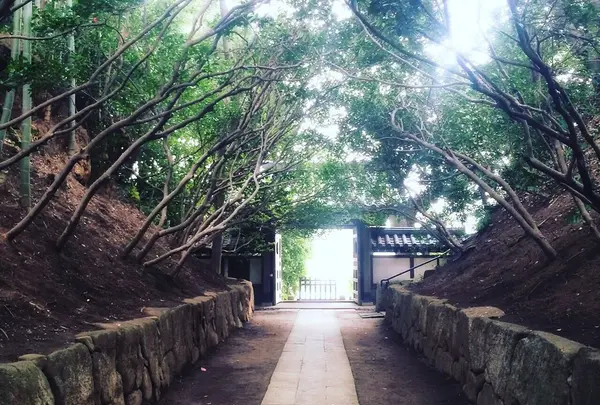 徳雄山 建功寺