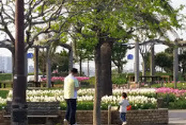 うみかぜ公園