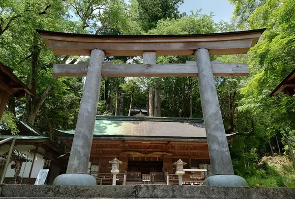 丹生川上神社下社 御神木(欅)