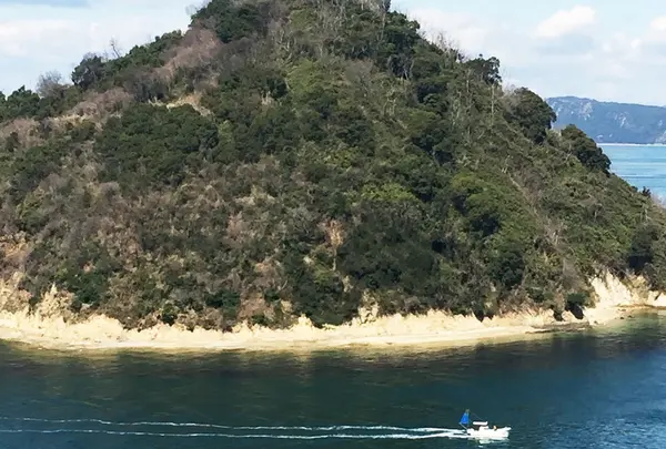 大崎の鼻