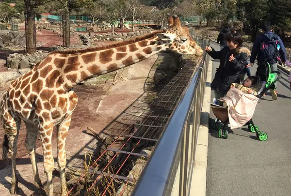伊豆アニマルキングダムの写真・動画_image_170323