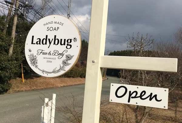 Ladybug
