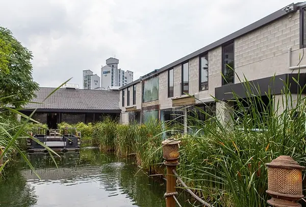 Rain Report（레인리포트）