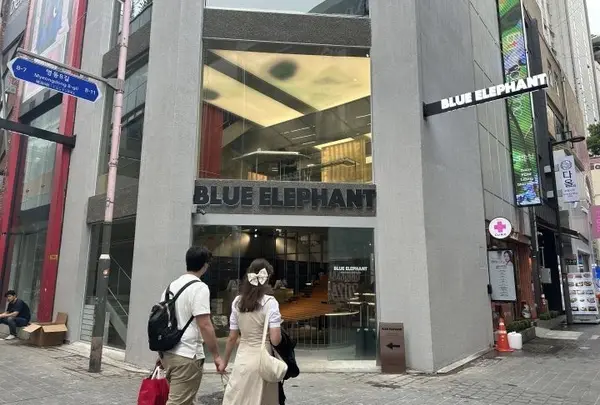 BLUE ELEPHANT