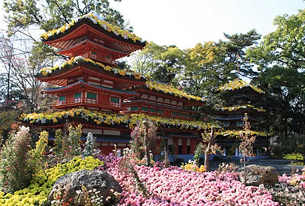 楽寿園